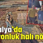 Antalya’da milyonluk halı nöbeti