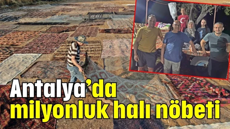 Antalya’da milyonluk halı nöbeti