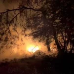 Antalya'da ormanda ısınmak için yaktığı ateş ağaçlara sıçradı