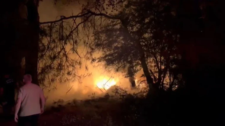 Antalya'da ormanda ısınmak için yaktığı ateş ağaçlara sıçradı