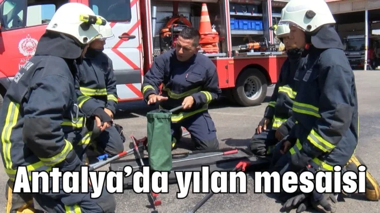 Antalya’da yılan mesaisi