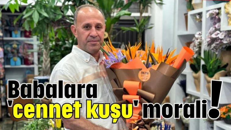 Babalara 'cennet kuşu' morali!