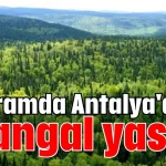 Bayramda Antalya'da ormanlara giriş ve mangal yasak