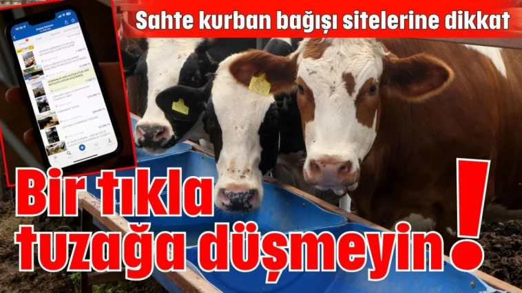 Bir tıkla tuzağa düşmeyin!
