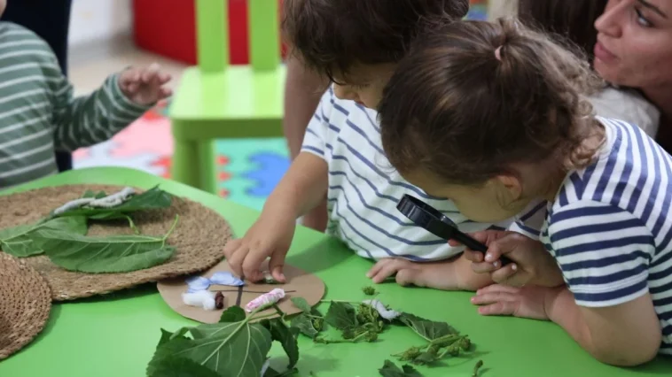 Büyükşehir çocukları ipekböceği ile tanıştırıyor