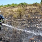Büyükşehir İtfaiyesi'nden orman yangınlarına müdahale