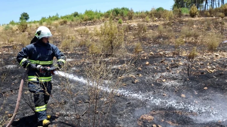 Büyükşehir İtfaiyesi'nden orman yangınlarına müdahale