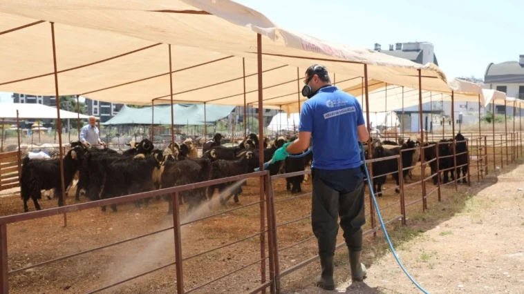 Büyükşehir kurban satış noktalarını ilaçlıyor