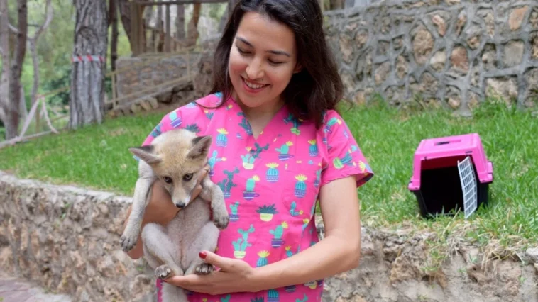 Doğal Yaşam Parkı'nda anne şefkati