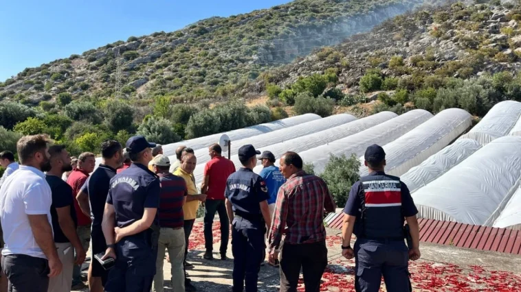 Finike'deki yangın kontrol altına alındı