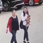 Güzellik yarışmasında birinci seçilen köpek bir hafta sonra ortadan kayboldu