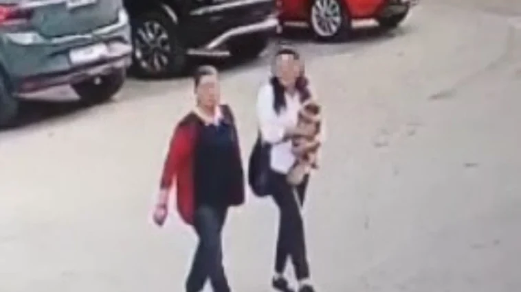 Güzellik yarışmasında birinci seçilen köpek bir hafta sonra ortadan kayboldu