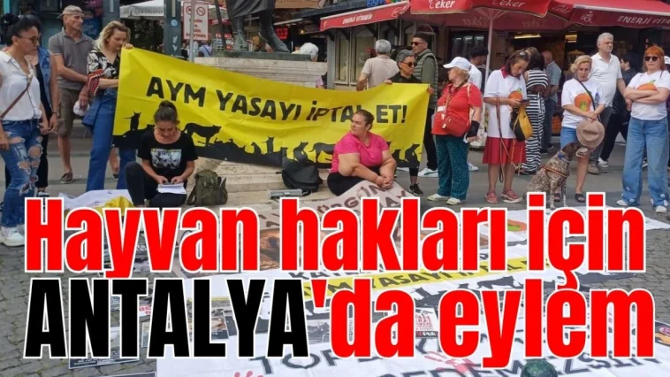 Hayvan hakları için Antalya'da eylem