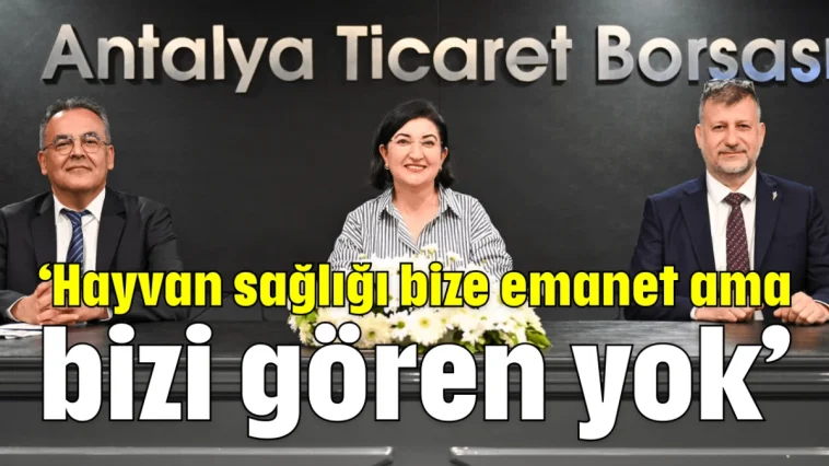 'Hayvan sağlığı bize emanet ama bizi gören yok'