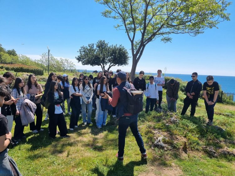 image_750x_6834064bbb426