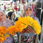 EFELER YOLUNDA GASTRONOMİ ŞÖLENİ