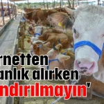 'İnternetten kurbanlık alırken dolandırılmayın'