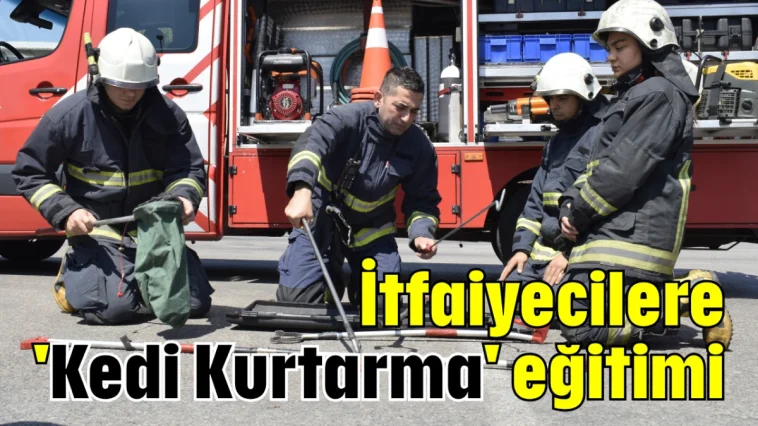İtfaiyecilere 'Kedi Kurtarma' eğitimi