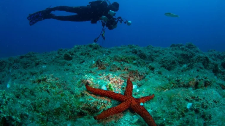 Kemer’de 24. Sualtı Günleri başlıyor