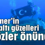 Kemer'in su altı güzelleri gözler önünde