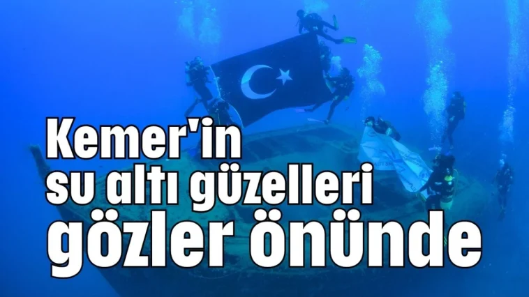 Kemer'in su altı güzelleri gözler önünde