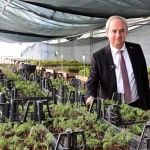 Kepez yetiştiriyor, ilçe yeşilleniyor