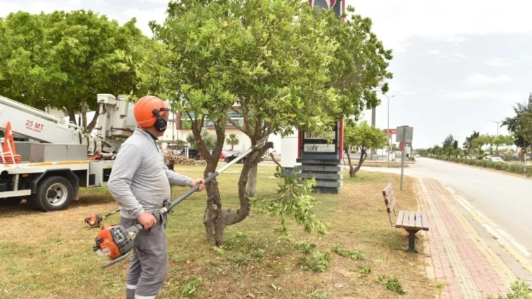 Kepez’de parkların bakımı yapıldı