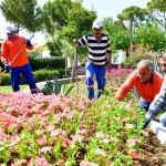 Muratpaşa'da Çiçek Desenleri Günleri başlıyor