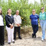 Organik atıklar toprak iyileştirici ürüne dönüştürüldü