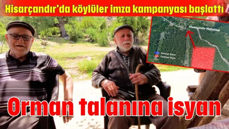 Orman talanına isyan