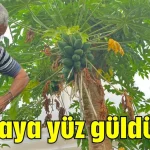Papaya yüz güldürdü