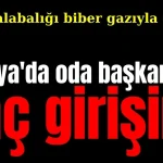 Polis kalabalığı biber gazıyla dağıttı! Antalya'da oda başkanına linç girişimi