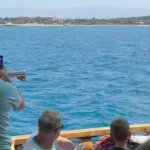 Side açıklarında Akdeniz foku görüntülendi