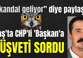 "Skandal geliyor" diye paylaştı! Kaş'ta CHP'li 'Başkan'a rüşveti sordu