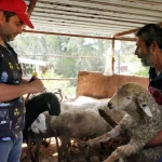 Yayla göçü öncesi aşı ve kimliklendirme çalışması