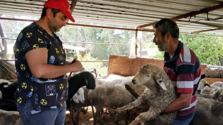 Yayla göçü öncesi aşı ve kimliklendirme çalışması