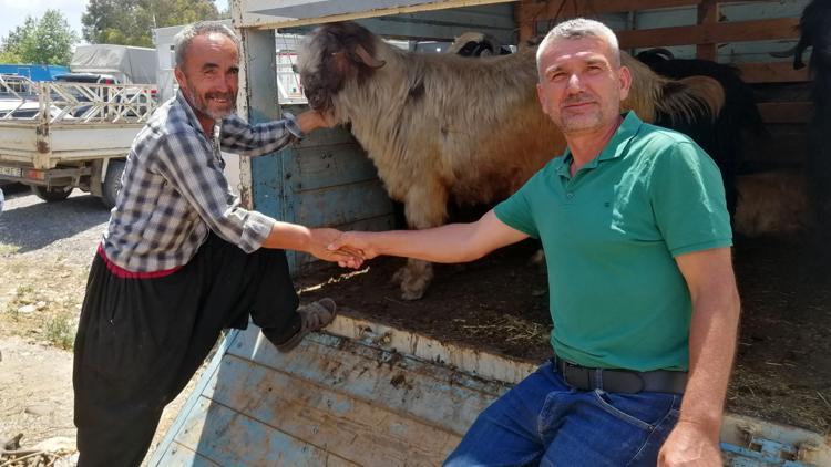 Gazipaşadaki kurban pazarında hareketlilik
