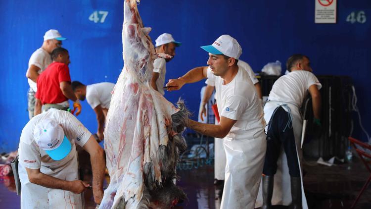 Sokakta kurban kesip, atıklarını gömene 23 bin 532 lira ceza