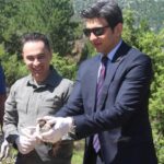 İbradıda 800 kınalı keklik doğaya salındı