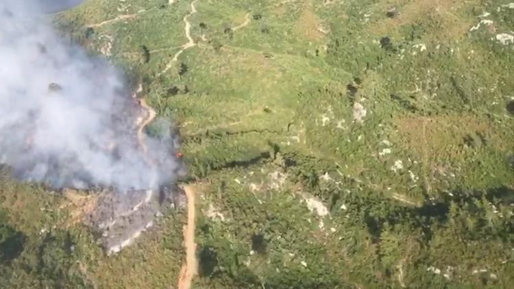 Antalyanın 2 ilçesinde orman yangını