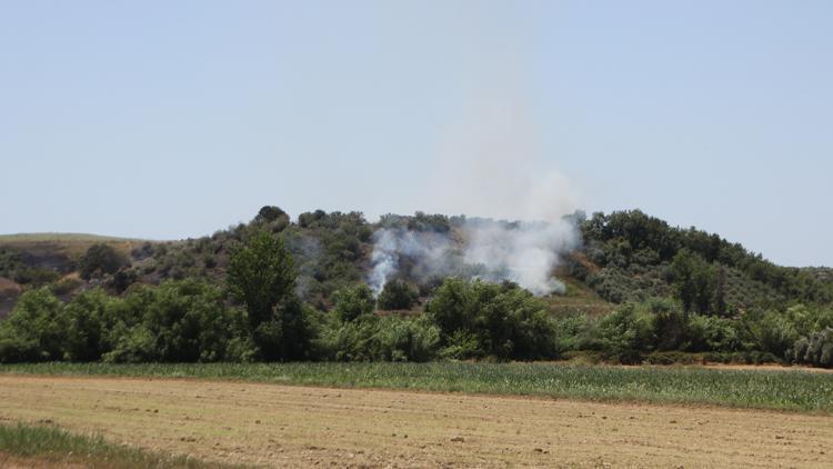Antalyada çıkan anız ve zeytinlik yangını söndürüldü