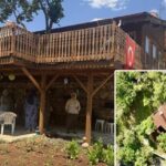 Düğmeli evler dünyada sadece bu bölgede bulunuyor 200 yıllık bir tarih ayağa kaldırıldı...