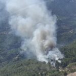 Antalyanın Finike ilçesinde orman yangını çıktı