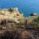 Varyanttaki otluk alanda çıkan yangın korkuttu