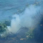 Alanya'daki yangında bir dönüm çalılık arazi zarar gördü