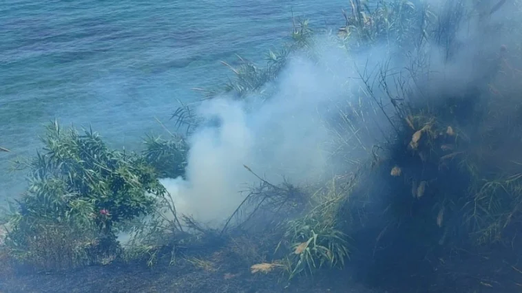 Alanya'daki yangında bir dönüm çalılık arazi zarar gördü