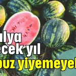 Antalya gelecek yıl karpuz yiyemeyebilir!