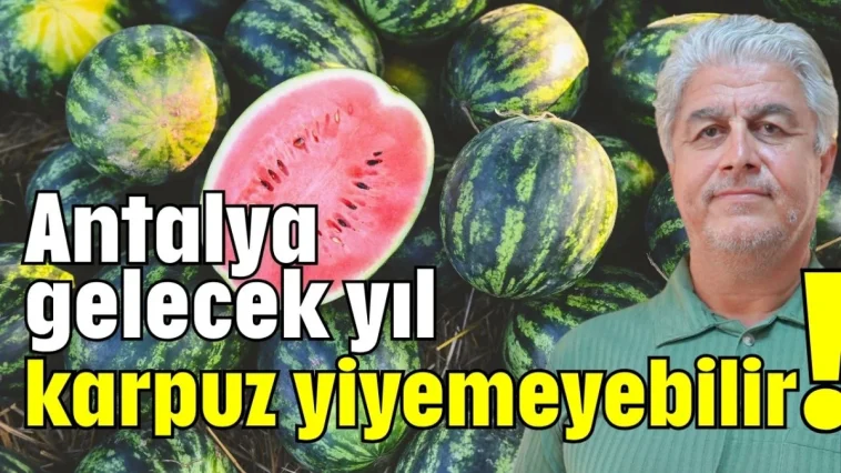 Antalya gelecek yıl karpuz yiyemeyebilir!