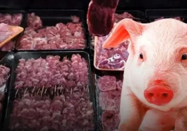 Antalya listede! Türkiye’de en çok domuz eti yiyen iller belli oldu