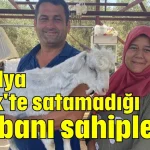 Antalya Serik'te satamadığı kurbanı sahiplendi